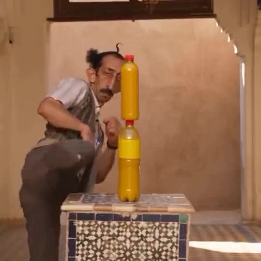 Bottle Kick Challenge with a pet
