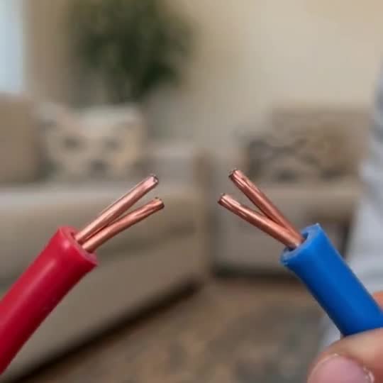 Electric Shock Pet Prank with a pet