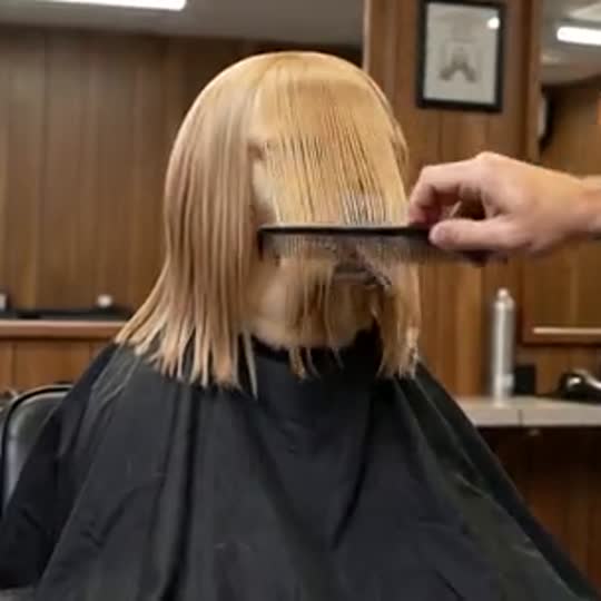 Pet Barbershop Fade with a pet