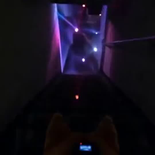 Secret Pet Rave with a pet