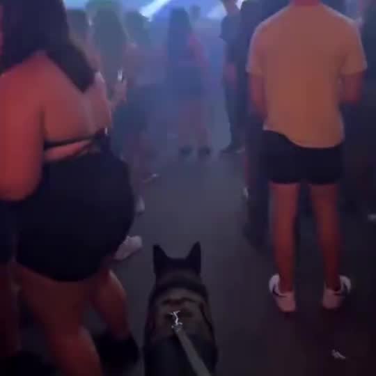 Sniffer Dog with a pet