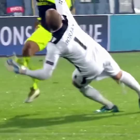 Özil Goal with a pet